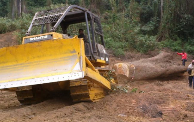 w88优德 - 更专业的w88玩家问答网站