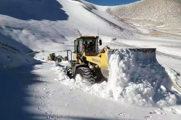 w88优德 - 更专业的w88玩家问答网站