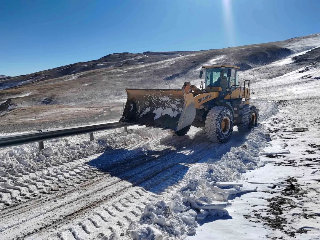 w88优德 - 更专业的w88玩家问答网站